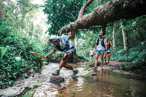 BIB: 
                            <button type="button" onclick="openModal(25369001)" class="btn btn-primary btn-sm float-right btn-popup" data-toggle="modal" data-target=".modal-high-quality">
                        <i class="fas fa-shopping-cart"></i> Add to Cart
                    </button>
                                            <button type="button" onclick="isThisMe(25369001, true)" class="btn btn-success btn-sm float-right btn-popup btn-isme hidden" data-toggle="tooltip" data-placement="bottom" title="นี่คือรูปของคุณใช่ไหม คลิกที่นี่เพื่อเอาเข้าอัลบั้ม">
                        <i class="fas fa-plus"></i> Add to album
                    </button>
                    <button type="button" onclick="isThisMe(25369001, false)" class="btn btn-warning btn-sm float-right btn-popup btn-isnotme hidden">
                        <i class="fas fa-ban"></i> Remove from album
                    </button>